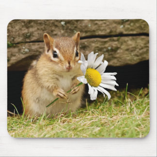 Alfombrilla De Ratón Chipmunk adorable del bebé con la margarita