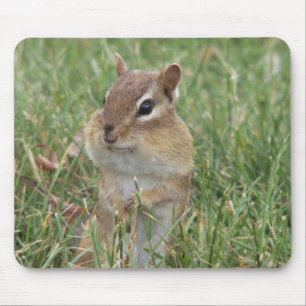 Alfombrilla De Ratón Chipmunk Cheeks Mouse Pad