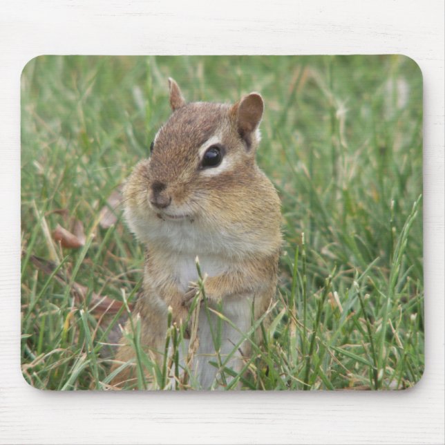 Alfombrilla De Ratón Chipmunk Cheeks Mouse Pad (Frente)