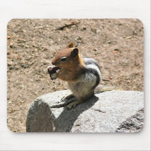 Alfombrilla De Ratón Chipmunk en Yosemite, California