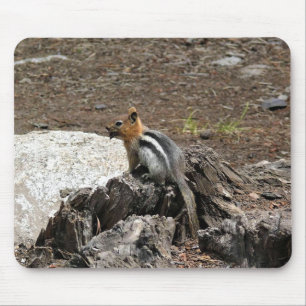 Alfombrilla De Ratón Chipmunk en Yosemite, California