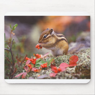 Alfombrilla De Ratón Chipmunk Life Style  trending product