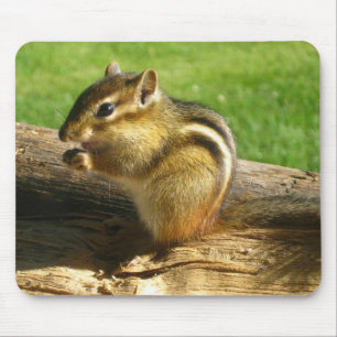 Alfombrilla De Ratón Chipmunk lindo