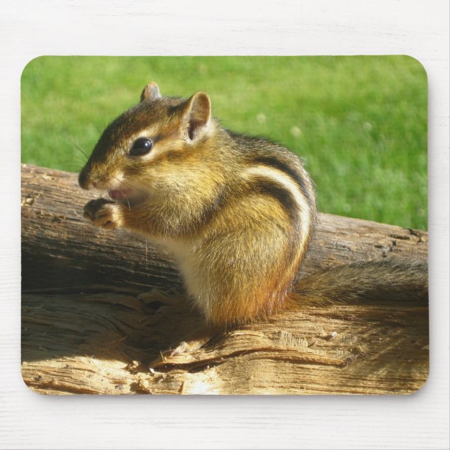 Alfombrilla De Ratón Chipmunk lindo (Frente)