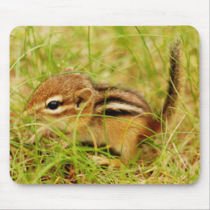 Alfombrilla De Ratón Chipmunk minúsculo pequeñito del bebé