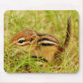 Alfombrilla De Ratón Chipmunk minúsculo pequeñito del bebé