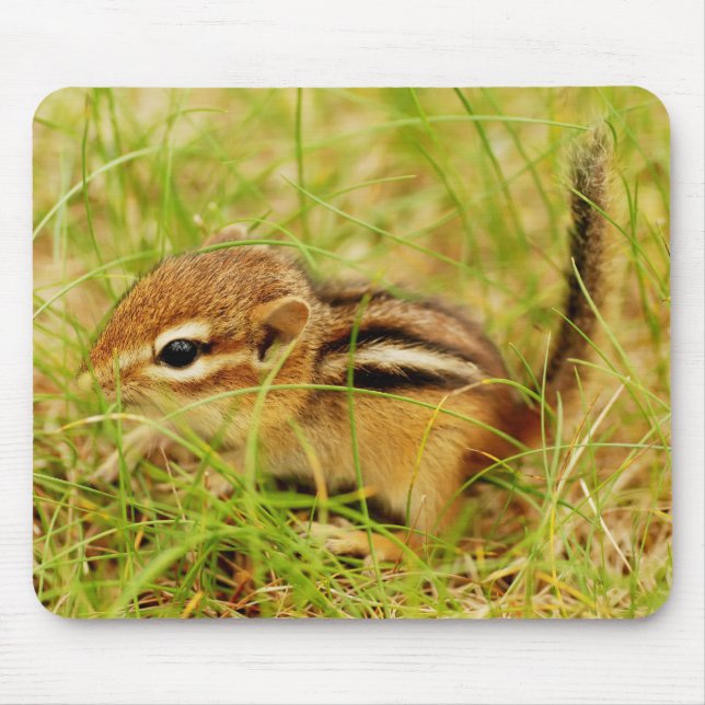 Alfombrilla De Ratón Chipmunk minúsculo pequeñito del bebé (Frente)