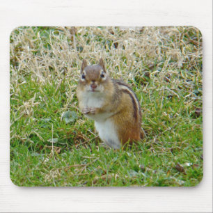 Alfombrilla De Ratón Chipmunk oriental