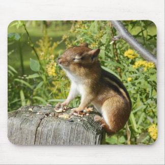 Alfombrilla De Ratón Chipmunk que empapa para arriba el Sun Mousepad