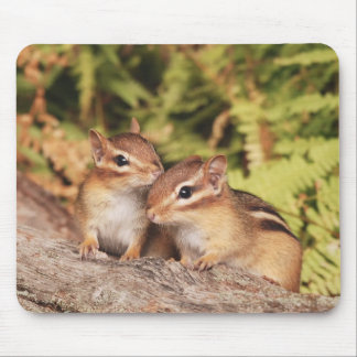 Alfombrilla De Ratón Chipmunks del bebé de los mejores amigos