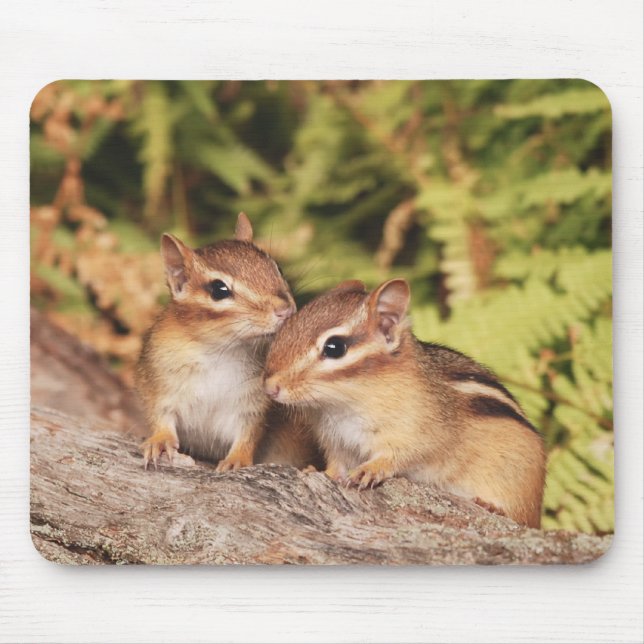 Alfombrilla De Ratón Chipmunks del bebé de los mejores amigos (Frente)