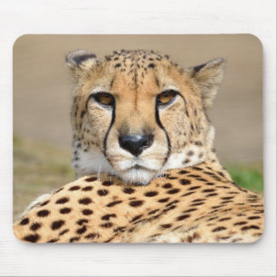 Alfombrilla De Ratón Chita africana tendida en el suelo