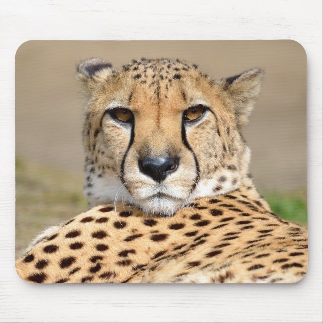 Alfombrilla De Ratón Chita africana tendida en el suelo (Frente)