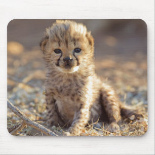 Alfombrilla De Ratón Chita de 19 días