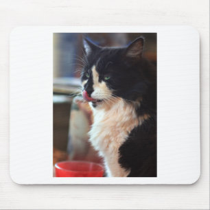 Alfombrilla De Ratón Chloe Licks