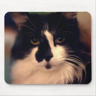 Alfombrilla De Ratón Chloe Painting