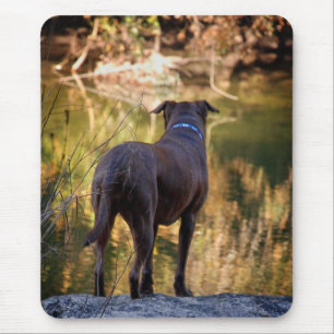 Alfombrilla De Ratón Chocolate Lab Pit Mix Dog Serene