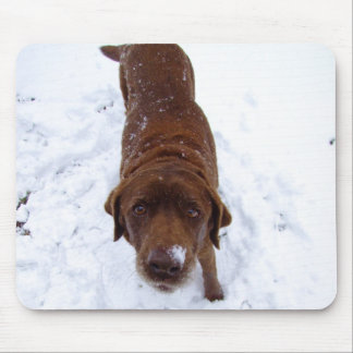 Alfombrilla De Ratón Chocolate Labrador en nieve