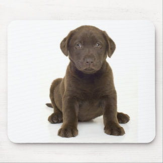 Alfombrilla De Ratón Chocolate Labrador Mousepad