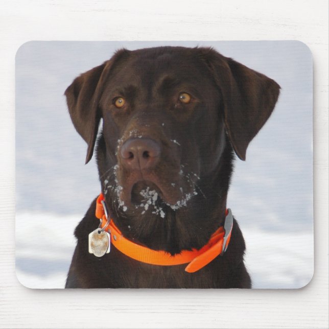 Alfombrilla De Ratón Chocolate Labrador Mousepad (Frente)