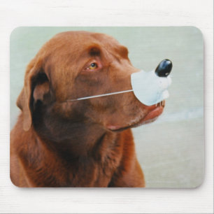 Alfombrilla De Ratón Chocolate Labrador que lleva una nariz falsa