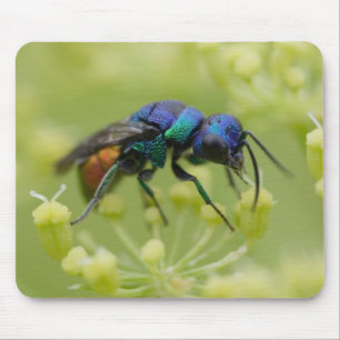 Alfombrilla De Ratón Chrysis austriaca