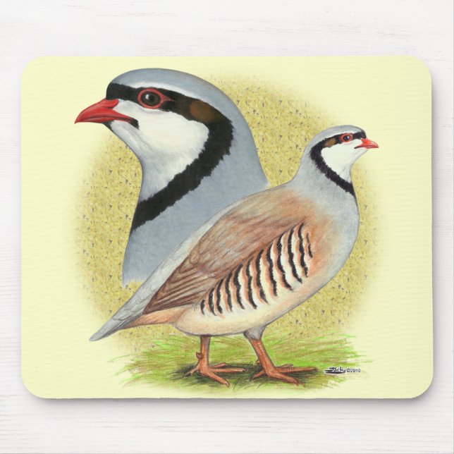 Alfombrilla De Ratón Chukar Partridge Combo (Frente)