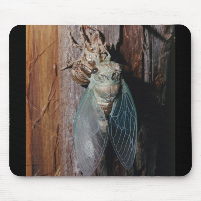 Alfombrilla De Ratón Cicada seca sus alas (Frente)