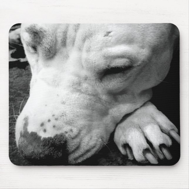 Alfombrilla De Ratón cicatriz de harry potter perro pit bull blanco (Frente)