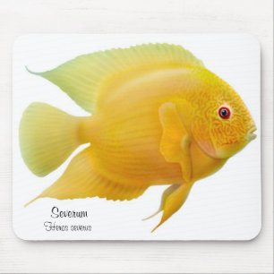 Alfombrilla De Ratón Cichlid de oro Mousepad de Severum