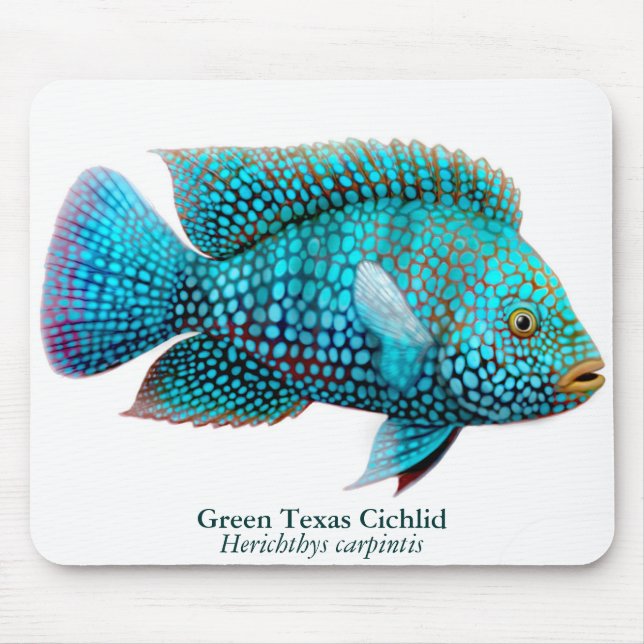 Alfombrilla De Ratón Cichlid Mousepad de Carpintis Tejas (Frente)