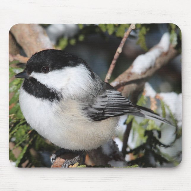 Alfombrilla De Ratón Cickadee Negro-capsulado (Frente)