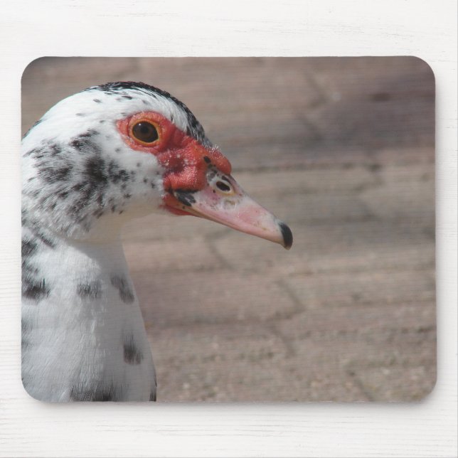 Alfombrilla De Ratón Cielo (Frente)