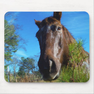 Alfombrilla De Ratón Cielo azul de caballo marrón y crema