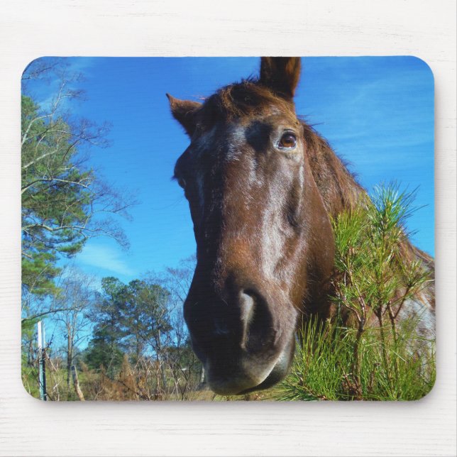 Alfombrilla De Ratón Cielo azul de caballo marrón y crema (Frente)