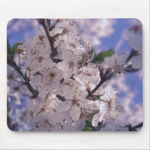 Alfombrilla De Ratón Cielo azul del árbol de cerezas amargas