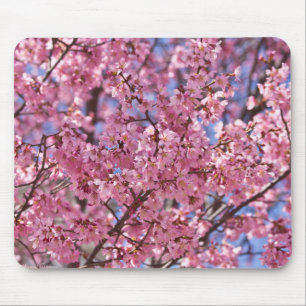 Alfombrilla De Ratón Cielo de Flor de Cerezo Rosa Sakura