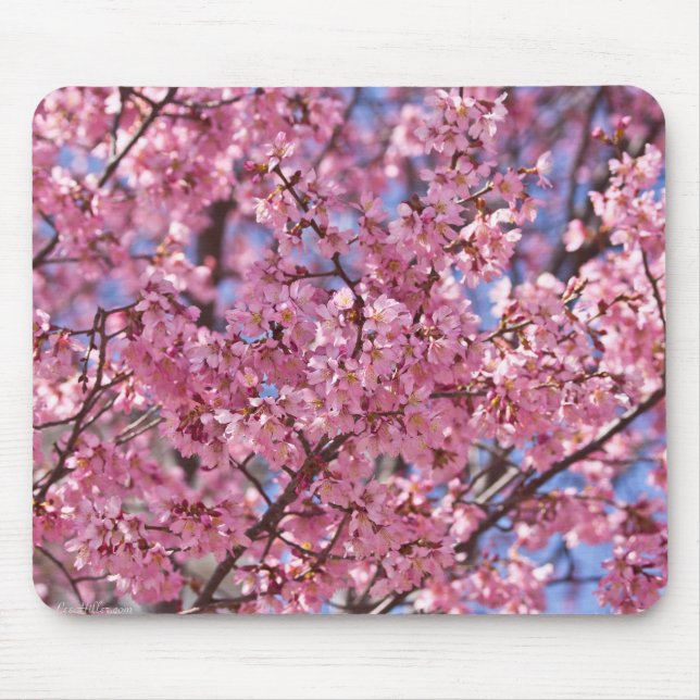 Alfombrilla De Ratón Cielo de Flor de Cerezo Rosa Sakura (Frente)