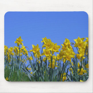 Alfombrilla De Ratón Cielo del narciso