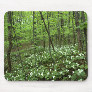 Alfombrilla De Ratón Cielo Mousepad del Trillium