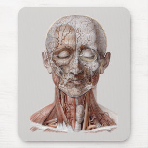Alfombrilla De Ratón Ciencia humana de la anatomía del vintage, nariz