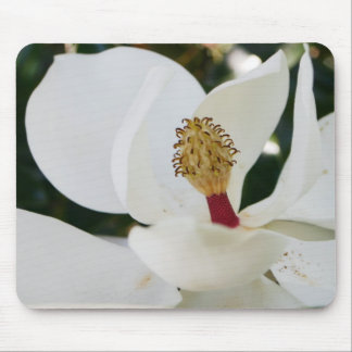 Alfombrilla De Ratón Cierre blanco del flor de los regalos de la flor