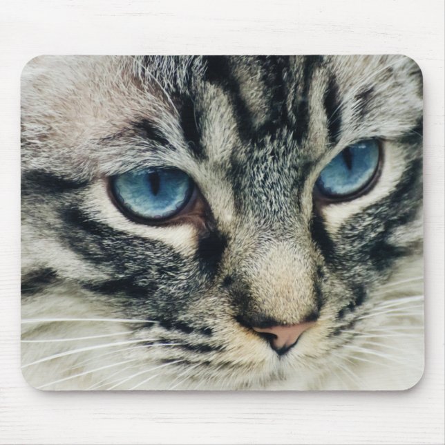 Alfombrilla De Ratón Cierre de gatos de Tabby con ojos azules (Frente)