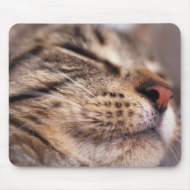 Alfombrilla De Ratón Cierre de los bigotes y bozales de gatos (Frente)
