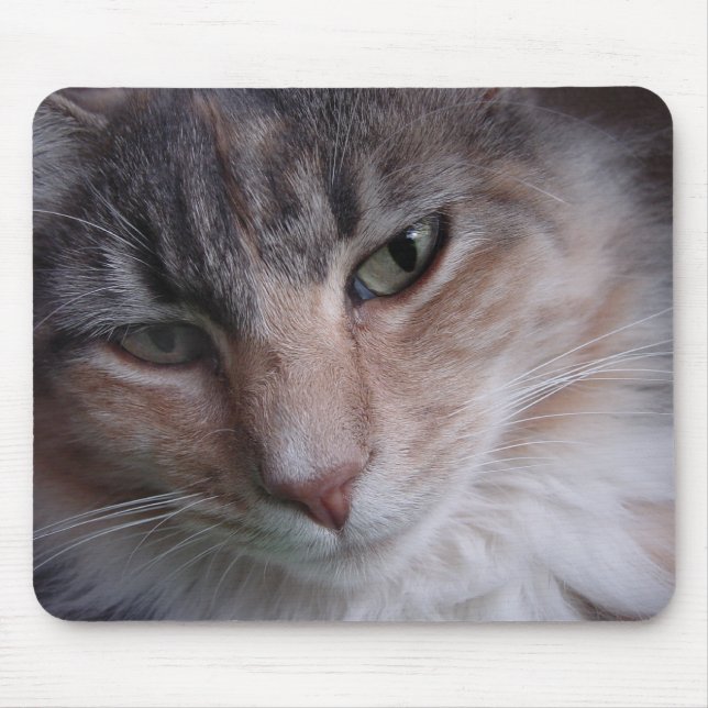 Alfombrilla De Ratón Cierre de Lulu (Frente)