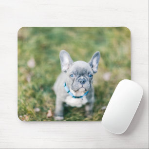 Alfombrilla De Ratón Cierre de un Bulldog francés