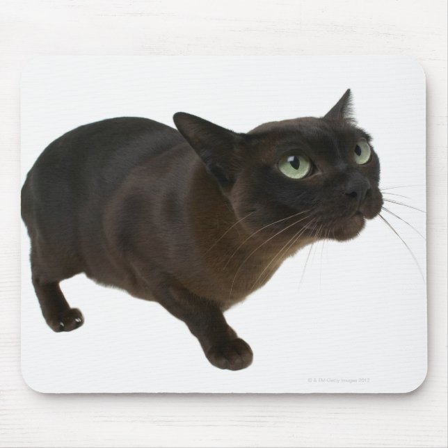 Alfombrilla De Ratón Cierre de un gato 2 (Frente)