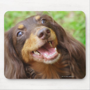 Alfombrilla De Ratón Cierre de un perro de Dachshund