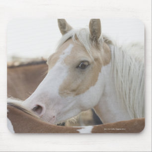 Alfombrilla De Ratón Cierre de un rebaño de caballos 2