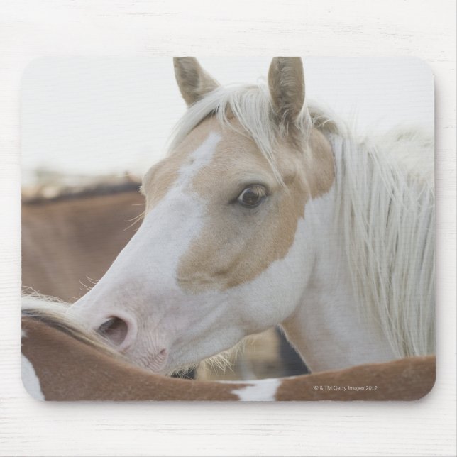 Alfombrilla De Ratón Cierre de un rebaño de caballos 2 (Frente)